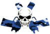 Skull In Guns Blue Camo Image